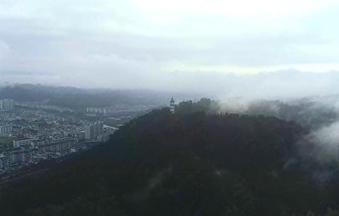 紀(jì)錄片《祁紅中國(guó)香》